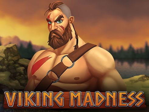 Viking Madness screenshot